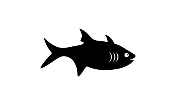 shark vector illustration/silhouette
