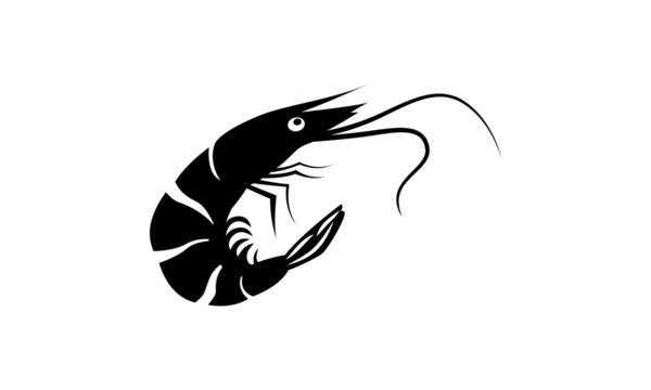 Shrimp silhouette vector ilustration
