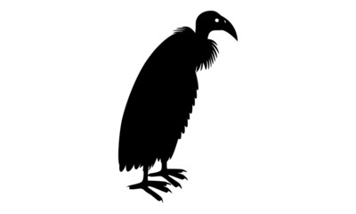 Vulture