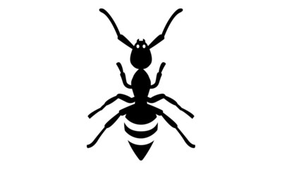 Ant illustration / Insect / Arthropod