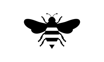 Honey Bee illustration / fly / wasp