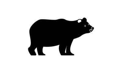 Bear / Polar Bear / Brown bear Illustration 