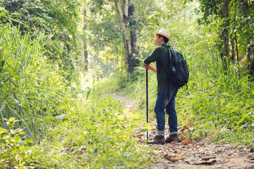 Man in blue and backpack walks into the forest.Hiking man