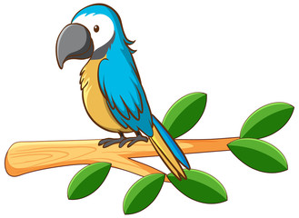 Blue parrot on the branch