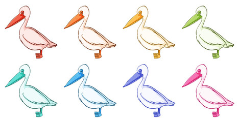 Fototapeta premium Isolated set of pelican in different colors