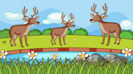 Scene with three deers in the park