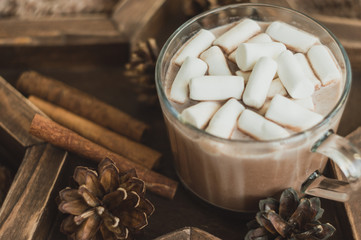 Cozy autumn background. A cup of cocoa with marshmallows on a star tray with a notepad, cones, cinnamon and a knitted sweater.