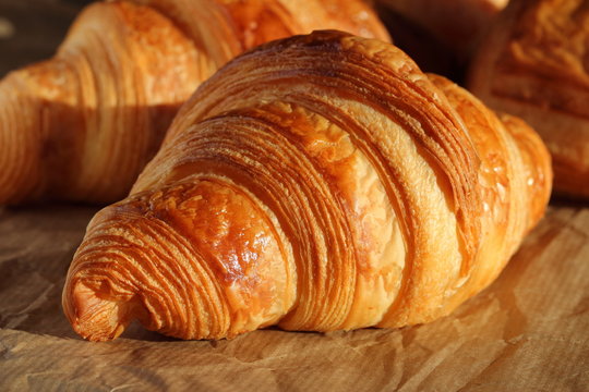 Freshly backed french croissant shiny in the rays of the morning sun  close up. Puff pastry texture macro.