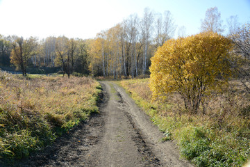 Fototapeta na wymiar Autumn. Dirt road to the river.