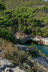 Fototapeta na wymiar Santa Tecla national Park. Apulia. Italy. Adriatic Sea. Coast. Bay with caves.