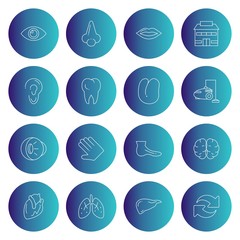 Set Of Universal 16 Icons