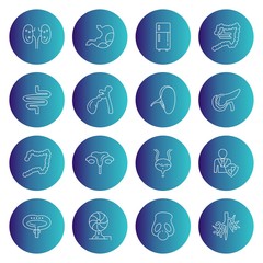 Set of 16 Universal Pixel Perfect Icons