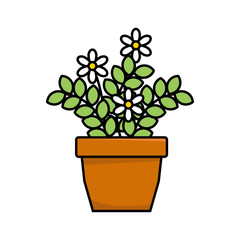 Houseplant vector illustration isolated on white background. Flower pot vector 