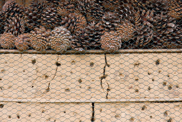 Insektenhotel 3