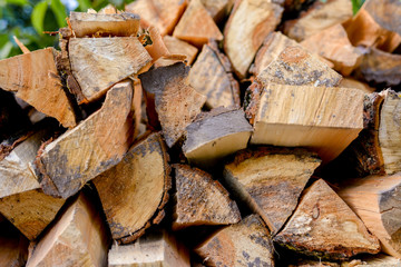 firewood tree fellings