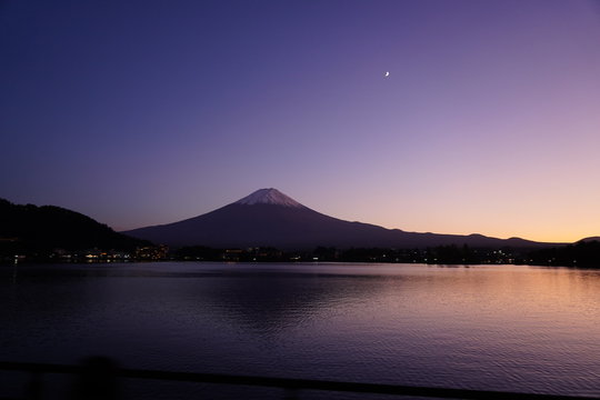 Purple Dusk 