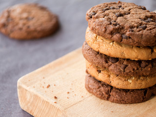 Les biscuits secs en chocolat