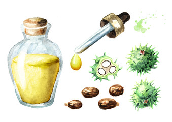 Green castor beans and seeds with oil drop and glass bottle. Watercolor hand drawn illustration, isolated on white background