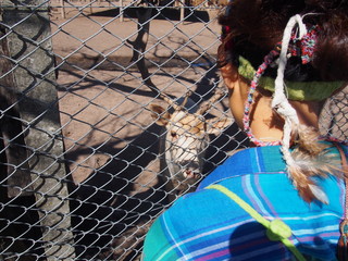 A woman watching the deer behind the fence, Zoo de Luján, Buenos Aires, Argentina
