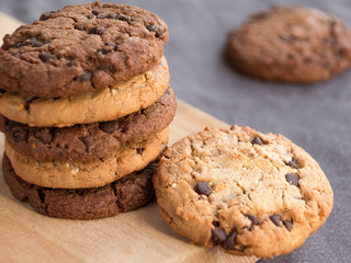 Les biscuits secs en chocolat