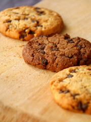 Les biscuits secs en chocolat