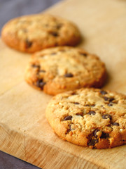 Les biscuits secs en chocolat