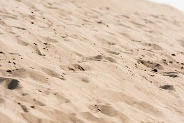 selective focus of golden sand in desert
