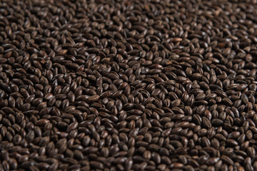 Black roasted malt for alcohol production. Roasted barley macro background. Depth of field