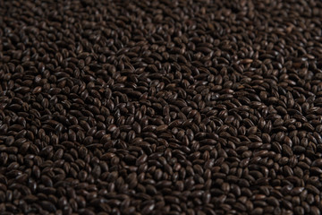 Black roasted malt for alcohol production. Roasted Barley background. Top view