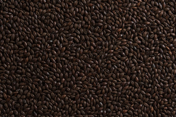 Black roasted malt for alcohol production. Roasted Barley background. Top view