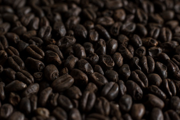 Wheat black for alcohol production. Roasted wheat macro background. Depth of field