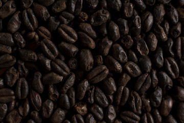 Wheat black for alcohol production. Roasted wheat background. Top view