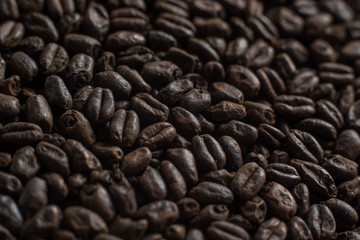 Wheat black for alcohol production. Roasted wheat macro background. Depth of field