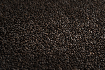 Fototapeta premium Wheat black for alcohol production. Roasted wheat background. Top view