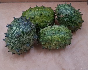 kiwano or horned melon, spiked melon, also African horned cucumber or melon, jelly melon, hedged gourd, melano