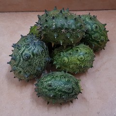 kiwano or horned melon, spiked melon, also African horned cucumber or melon, jelly melon, hedged gourd, melano