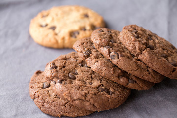 Les biscuits secs en chocolat