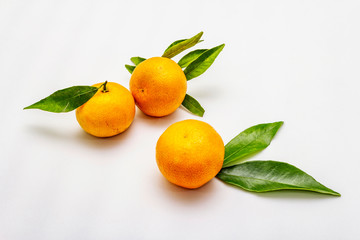 Ripe tangerines with leaves. Fresh fruits isolated on white background