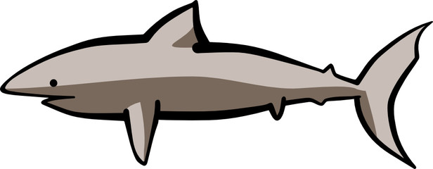 Vector drawing of a big shark