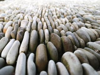 Sea pebbles as decoration to the landscape. Close up