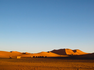 Fototapeta na wymiar caravan in the desert