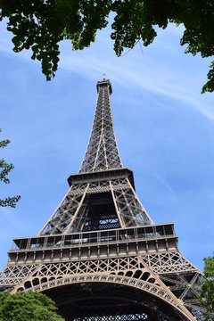Eiffel tower view from the bottom with tree branches and leaves. Paris vacation souvenir picture