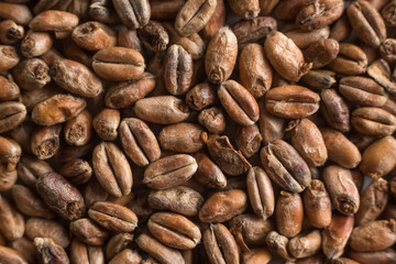 Wheat for alcohol production. Wheat background. Top view, flat lay