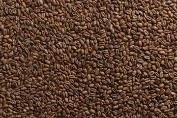 Wheat for alcohol production. Wheat background. Top view, flat lay