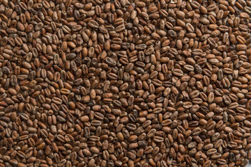 Wheat for alcohol production. Wheat background. Top view, flat lay