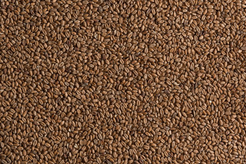 Wheat for alcohol production. Wheat background. Top view, flat lay