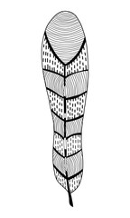 Decorative, ornate bird feather. Black and white outline illustration for coloring book and page.