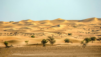 Obraz premium landscape in the desert