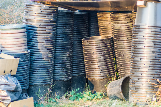 Nursery deciduous plants in the autumn sunny day. Stacked plastic pots in the nursery