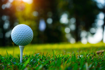 Blurred golf club and golf ball close up in grass field with sunset. Golf ball close up in golf...
